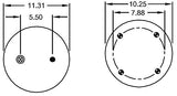 Ressort pneumatique pour Holland | Remplacement Firestone 9121, Holland 905-57-019 | Paquet de 2